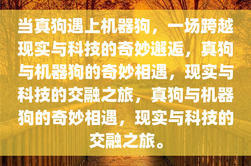 当真狗遇上机器狗，一场跨越现实与科技的奇妙邂逅，真狗与机器狗的奇妙相遇，现实与科技的交融之旅，真狗与机器狗的奇妙相遇，现实与科技的交融之旅。