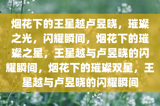 烟花下的王星越卢昱晓，璀璨之光，闪耀瞬间，烟花下的璀璨之星，王星越与卢昱晓的闪耀瞬间，烟花下的璀璨双星，王星越与卢昱晓的闪耀瞬间