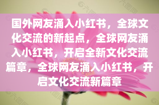 国外网友涌入小红书，全球文化交流的新起点，全球网友涌入小红书，开启全新文化交流篇章，全球网友涌入小红书，开启文化交流新篇章