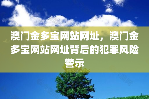 澳门金多宝网站网址，澳门金多宝网站网址背后的犯罪风险警示