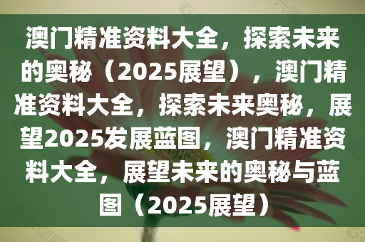 澳门精准资料大全，探索未来的奥秘（2025展望），澳门精准资料大全，探索未来奥秘，展望2025发展蓝图，澳门精准资料大全，展望未来的奥秘与蓝图（2025展望）