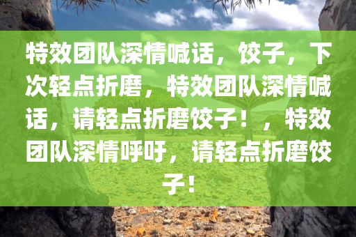 特效团队深情喊话，饺子，下次轻点折磨，特效团队深情喊话，请轻点折磨饺子！，特效团队深情呼吁，请轻点折磨饺子！