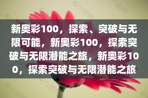 新奥彩100，探索、突破与无限可能，新奥彩100，探索突破与无限潜能之旅，新奥彩100，探索突破与无限潜能之旅