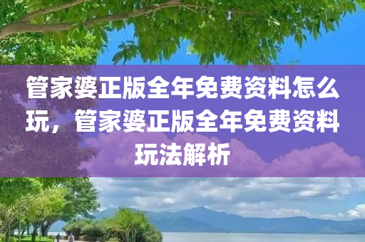 管家婆正版全年免费资料怎么玩，管家婆正版全年免费资料玩法解析