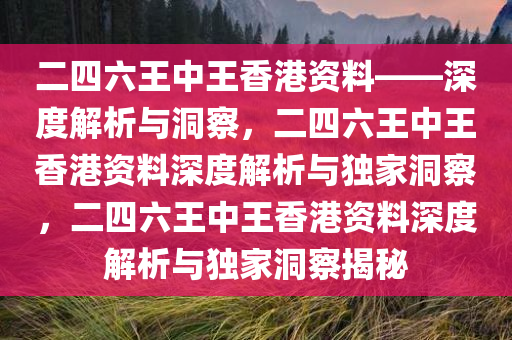 二四六王中王香港资料——深度解析与洞察，二四六王中王香港资料深度解析与独家洞察，二四六王中王香港资料深度解析与独家洞察揭秘