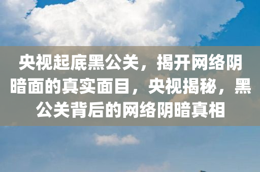 央视起底黑公关，揭开网络阴暗面的真实面目，央视揭秘，黑公关背后的网络阴暗真相