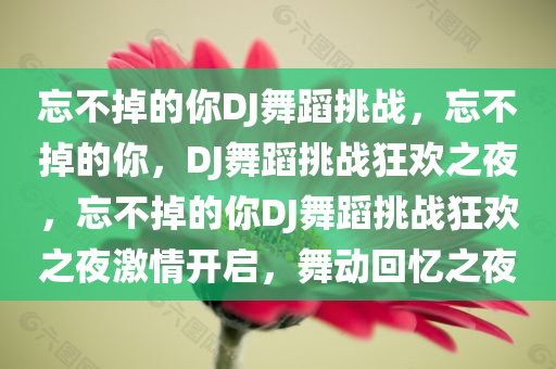 忘不掉的你DJ舞蹈挑战，忘不掉的你，DJ舞蹈挑战狂欢之夜，忘不掉的你DJ舞蹈挑战狂欢之夜激情开启，舞动回忆之夜