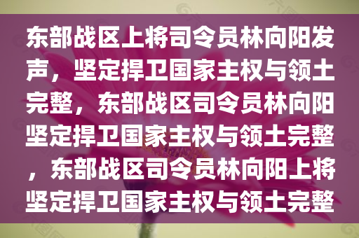 东部战区上将司令员林向阳发声，坚定捍卫国家主权与领土完整，东部战区司令员林向阳坚定捍卫国家主权与领土完整，东部战区司令员林向阳上将坚定捍卫国家主权与领土完整今晚必出三肖2025_2025新澳门精准免费提供·精确判断