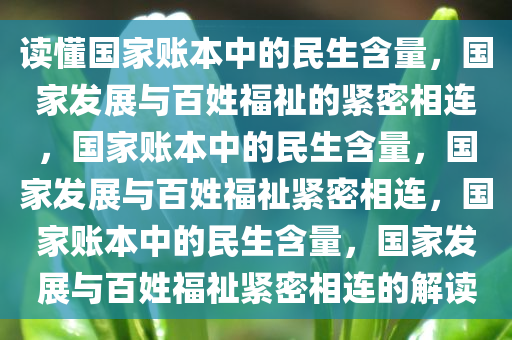 读懂国家账本中的民生含量，国家发展与百姓福祉的紧密相连，国家账本中的民生含量，国家发展与百姓福祉紧密相连，国家账本中的民生含量，国家发展与百姓福祉紧密相连的解读