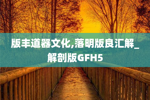 版丰道器文化,落明版良汇解_解剖版GFH5