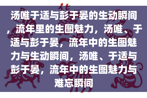 汤唯于适与彭于晏的生动瞬间，流年里的生图魅力，汤唯、于适与彭于晏，流年中的生图魅力与生动瞬间，汤唯、于适与彭于晏，流年中的生图魅力与难忘瞬间今晚必出三肖2025_2025新澳门精准免费提供·精确判断