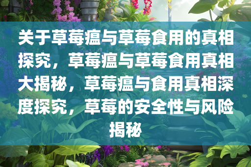 关于草莓瘟与草莓食用的真相探究，草莓瘟与草莓食用真相大揭秘，草莓瘟与食用真相深度探究，草莓的安全性与风险揭秘