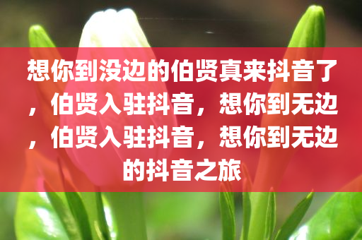 想你到没边的伯贤真来抖音了，伯贤入驻抖音，想你到无边，伯贤入驻抖音，想你到无边的抖音之旅