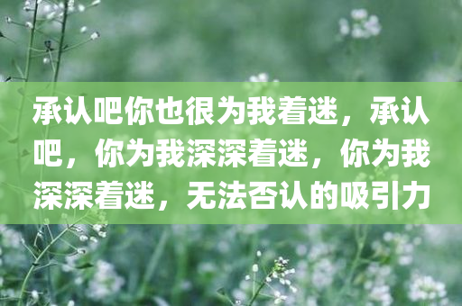 承认吧你也很为我着迷，承认吧，你为我深深着迷，你为我深深着迷，无法否认的吸引力