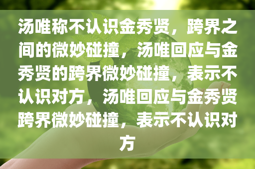 汤唯称不认识金秀贤，跨界之间的微妙碰撞，汤唯回应与金秀贤的跨界微妙碰撞，表示不认识对方，汤唯回应与金秀贤跨界微妙碰撞，表示不认识对方