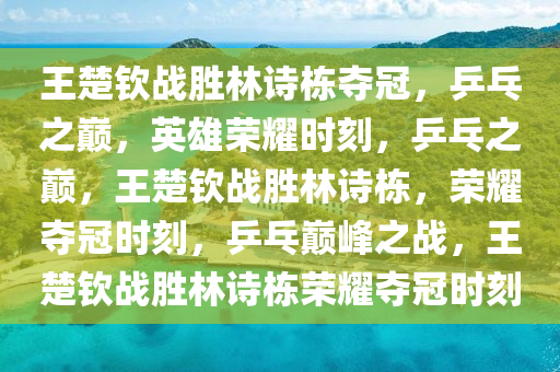 王楚钦战胜林诗栋夺冠，乒乓之巅，英雄荣耀时刻，乒乓之巅，王楚钦战胜林诗栋，荣耀夺冠时刻，乒乓巅峰之战，王楚钦战胜林诗栋荣耀夺冠时刻今晚必出三肖2025_2025新澳门精准免费提供·精确判断