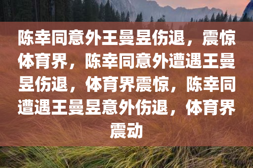 陈幸同意外王曼昱伤退，震惊体育界，陈幸同意外遭遇王曼昱伤退，体育界震惊，陈幸同遭遇王曼昱意外伤退，体育界震动今晚必出三肖2025_2025新澳门精准免费提供·精确判断