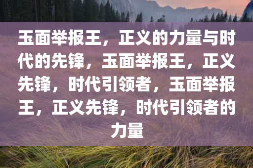 玉面举报王，正义的力量与时代的先锋，玉面举报王，正义先锋，时代引领者，玉面举报王，正义先锋，时代引领者的力量