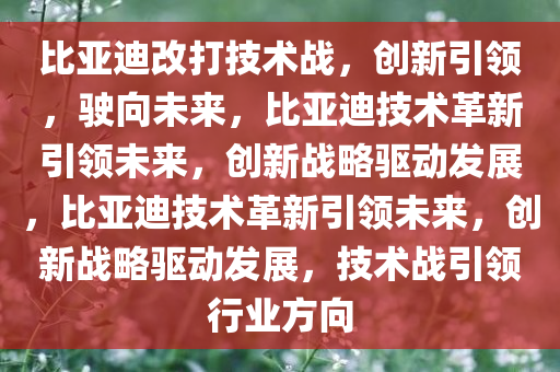 比亚迪改打技术战，创新引领，驶向未来，比亚迪技术革新引领未来，创新战略驱动发展，比亚迪技术革新引领未来，创新战略驱动发展，技术战引领行业方向今晚必出三肖2025_2025新澳门精准免费提供·精确判断