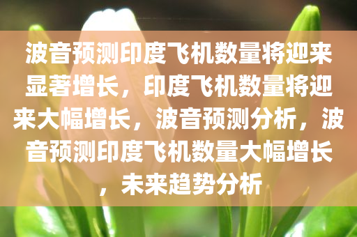 波音预测印度飞机数量将迎来显著增长，印度飞机数量将迎来大幅增长，波音预测分析，波音预测印度飞机数量大幅增长，未来趋势分析