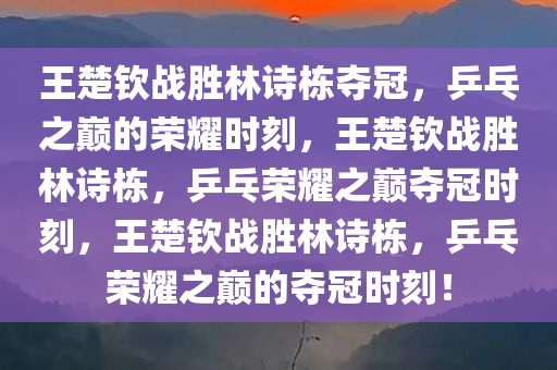 王楚钦战胜林诗栋夺冠，乒乓之巅的荣耀时刻，王楚钦战胜林诗栋，乒乓荣耀之巅夺冠时刻，王楚钦战胜林诗栋，乒乓荣耀之巅的夺冠时刻！