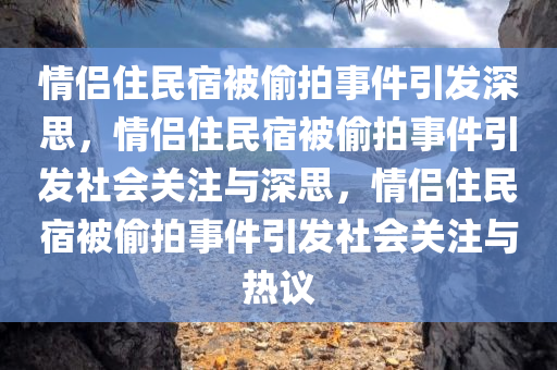 情侣住民宿被偷拍传到境外网站