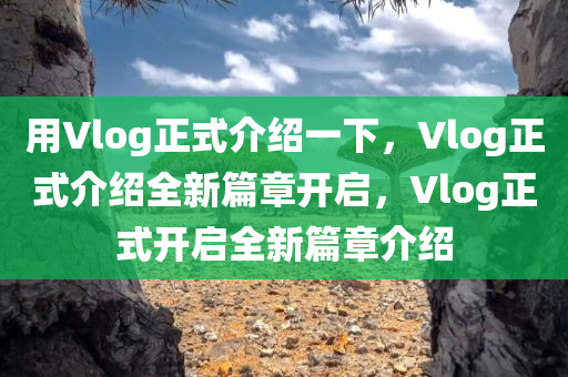 用vlog正式介绍一下