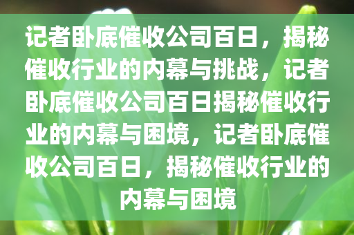 记者卧底催收公司百日，揭秘催收行业的内幕与挑战，记者卧底催收公司百日揭秘催收行业的内幕与困境，记者卧底催收公司百日，揭秘催收行业的内幕与困境今晚必出三肖2025_2025新澳门精准免费提供·精确判断