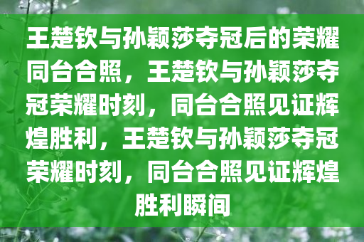 王楚钦与孙颖莎夺冠后的荣耀同台合照，王楚钦与孙颖莎夺冠荣耀时刻，同台合照见证辉煌胜利，王楚钦与孙颖莎夺冠荣耀时刻，同台合照见证辉煌胜利瞬间今晚必出三肖2025_2025新澳门精准免费提供·精确判断