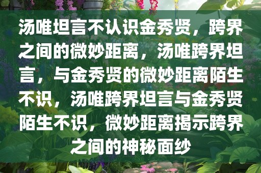 汤唯坦言不认识金秀贤，跨界之间的微妙距离，汤唯跨界坦言，与金秀贤的微妙距离陌生不识，汤唯跨界坦言与金秀贤陌生不识，微妙距离揭示跨界之间的神秘面纱