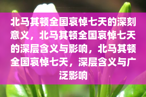 北马其顿全国哀悼七天的深刻意义，北马其顿全国哀悼七天的深层含义与影响，北马其顿全国哀悼七天，深层含义与广泛影响