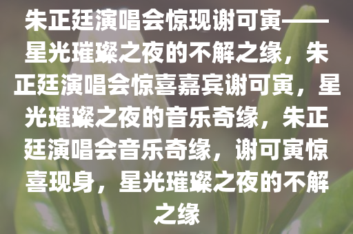 朱正廷演唱会惊现谢可寅——星光璀璨之夜的不解之缘，朱正廷演唱会惊喜嘉宾谢可寅，星光璀璨之夜的音乐奇缘，朱正廷演唱会音乐奇缘，谢可寅惊喜现身，星光璀璨之夜的不解之缘今晚必出三肖2025_2025新澳门精准免费提供·精确判断