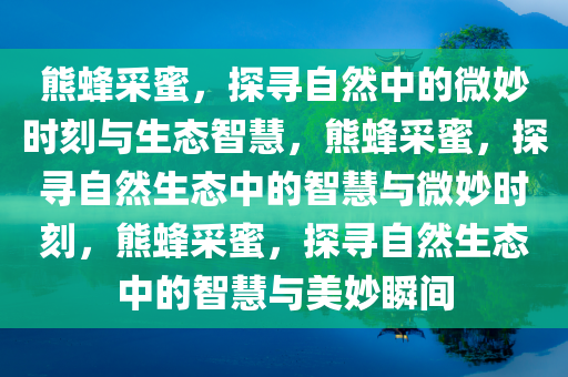 熊蜂采蜜，探寻自然中的微妙时刻与生态智慧，熊蜂采蜜，探寻自然生态中的智慧与微妙时刻，熊蜂采蜜，探今晚必出三肖2025_2025新澳门精准免费提供·精确判断寻自然生态中的智慧与美妙瞬间