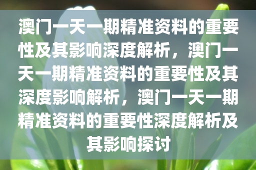 澳门一天一期精准资料的重要性及其影响深度解析，澳门一天一期精准资料的重要性及其深度影响解析