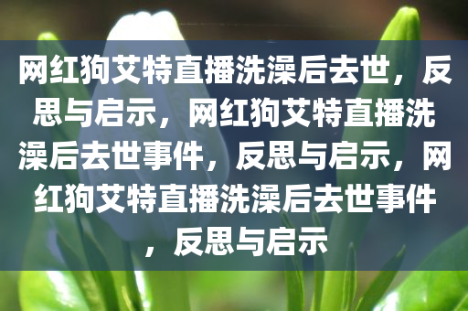 网红狗艾特直播洗澡后去世，反思与启示，网红狗艾特直播洗澡后去世事件，反思与启示，网红狗艾特直播洗澡后去世事件，反思与启示