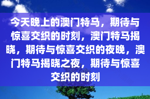 今天晚上的澳门特马，期待与惊喜交织的时刻，澳门特马揭晓，期待与惊喜交织的夜晚，澳门特马揭晓之夜，期待与惊喜交织的时刻