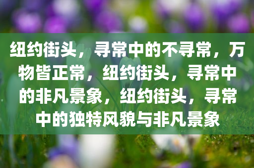 纽约街头，寻常中的不寻常，万物皆正常，纽约街头，寻常中的非凡景象，纽约街头，寻常中的独特风貌与非凡景象