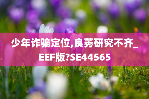 少年诈骗定位,良莠研究不齐_EEF版?SE44565