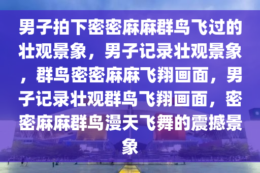 男子拍下密密麻麻群鸟飞过的壮观景象，男子记录壮观景象，群鸟密密麻麻飞翔画面，男子记录壮观群鸟飞翔画面，密密麻麻群鸟漫天飞舞的震撼景象