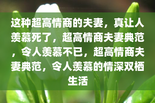 这种超高情商的夫妻，真让人羡慕死了，超高情商夫妻典范，令人羡慕不已，超高情商夫妻典范，令人羡慕的情深双栖生活