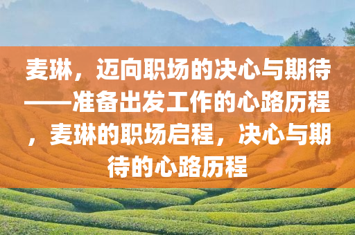 麦琳，迈向职场的决心与期待——准备出发工作的心路历程，麦琳的职场启程，决心与期待的心路历程