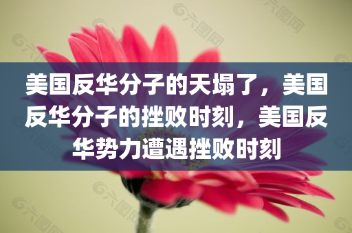 美国反华分子的天塌了，美国反华分子的挫败时刻，美国反华势力遭遇挫败时刻