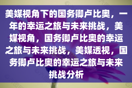 美媒视角下的国务卿卢比奥，一年的幸运之旅与未来挑战，美媒视角，国务卿卢比奥的幸运之旅与未来挑战，美媒透视，国务卿卢比奥的幸运之旅与未来挑战分析