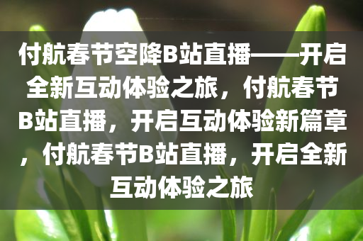 付航春节空降B站直播——开启全新互动体验之旅，付航春节B站直播，开启互动体验新篇章，付航春节B站直播，开启全新互动体验之旅