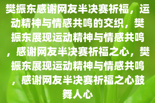 樊振东感谢网友半决赛祈福，运动精神与情感共鸣的交织，樊振东展现运动精神与情感共鸣，感谢网友半决赛祈福之心，樊振东展现运动精神与情感共鸣，感谢网友半决赛祈福之心鼓舞人心今晚必出三肖2025_2025新澳门精准免费提供·精确判断