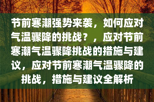 节前寒潮强势来袭，如何应对气温骤降的挑战？，应对节前寒潮气温骤降挑战的措施与建议，应对节前寒潮气温骤降的挑战，措今晚必出三肖2025_2025新澳门精准免费提供·精确判断施与建议全解析