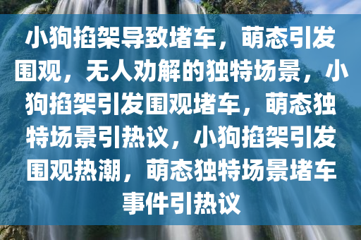 小狗掐架导致堵车今晚必出三肖2025_2025新澳门精准免费提供·精确判断，萌态引发围观，无人劝解的独特场景，小狗掐架引发围观堵车，萌态独特场景引热议，小狗掐架引发围观热潮，萌态独特场景堵车事件引热议