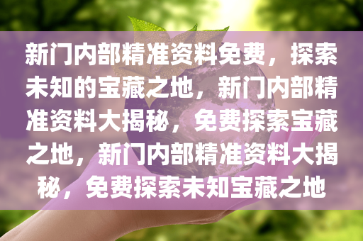 新门内部精准资料免费，探索未知的宝藏之地，新门内部精准资料大揭秘，免费探索宝今晚必出三肖2025_2025新澳门精准免费提供·精确判断藏之地，新门内部精准资料大揭秘，免费探索未知宝藏之地