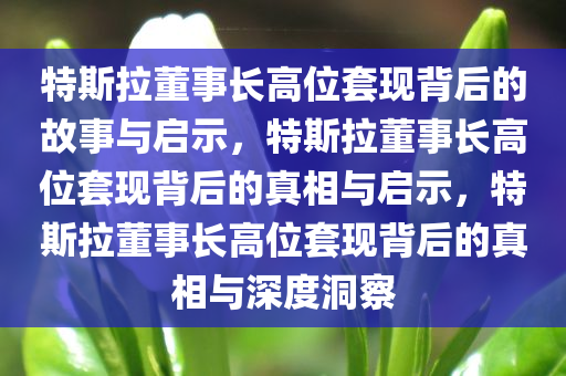 特斯拉董事长高位套现背后的故事与启示，特斯拉董事长高位套现背后的真相与启示，特斯拉董事长高位套现背后的真相与深度洞察