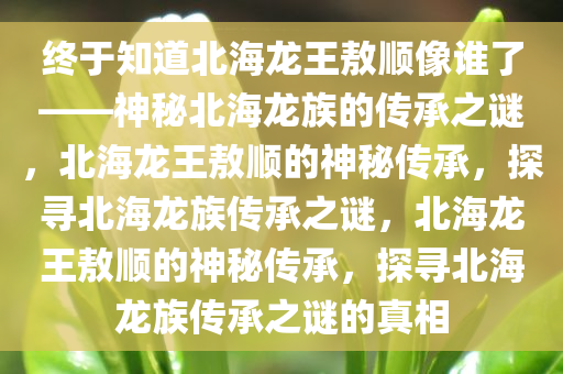 终于知道北海龙王敖顺像谁了——神秘北海龙族的传承之谜，北海龙王敖顺的神秘传承，探寻北海龙族传承之谜，北海龙王敖顺的神秘传承，探寻北海龙族传承之谜的真相今晚必出三肖2025_2025新澳门精准免费提供·精确判断